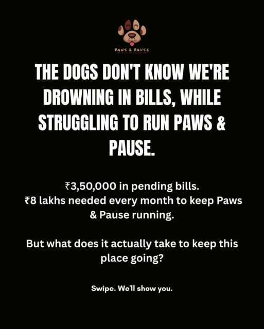 Behind every wagging tail, every meal, and every recovery at Paws & Pause is a team working tirelessly to keep things going.
But the reality? ₹3,50,000 in pending bills and approximately ₹8 lakhs needed every month to keep our doors open.
We want to show you what happens behind the scenes—not just the happy updates, but the work, the coordination, the challenges, and the responsibility that comes with caring for our kids.
This is a glimpse of just one day of work at Paws & Pause.
We believe in transparency. We believe in showing up. And we believe our kids deserve both.
If you can, please help us clear pending bills or support our monthly operations.
Support our kids:
Bank Transfer
Crash & Happy Foundation
A/C No.: 925020043829705
IFSC: UTIB0004577
Bank: Axis Bank
Razorpay/ UPI: razorpay.me/@crashamphappyfoundation
Every contribution helps us keep going.
Because their care doesn’t pause. And neither do we. 🐾
